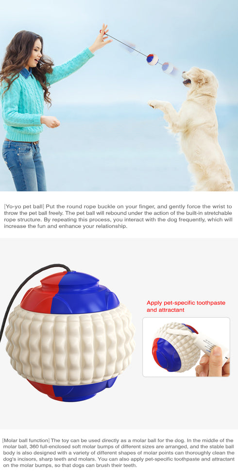 Dog Traning Balls Launcher Toy