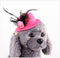 Princess Dog Hat Mesh Sun Cap