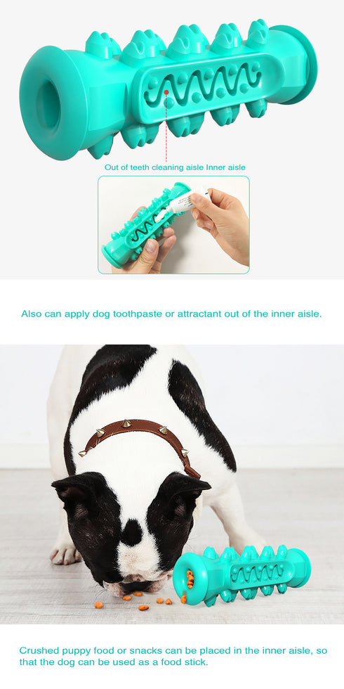 Toothbrush Puppy Chew Playing Toy