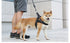 Freedom No Pull Dog Harnesses