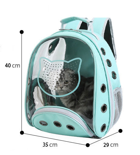 KittensTransparent Carrier Pet Backpack