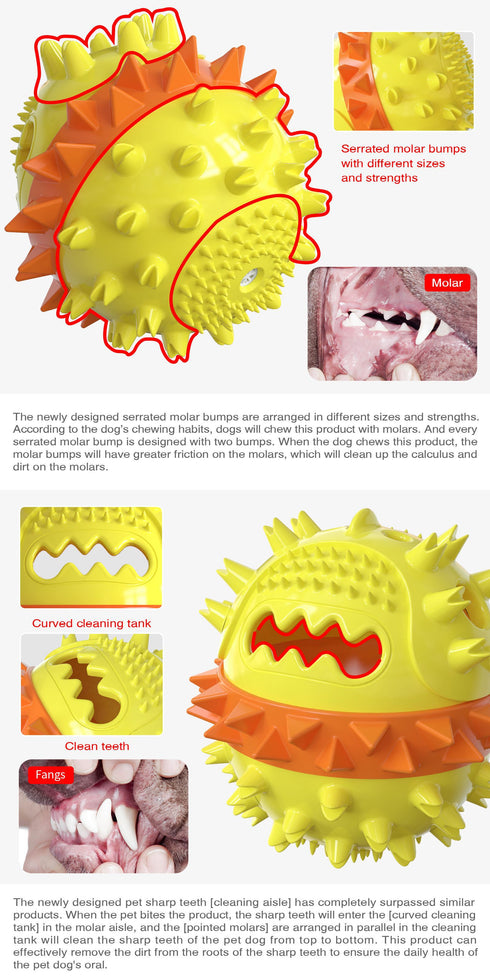 Puppies Teething Leaky Food Squeak Toys Balls