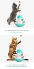 Cat Toy Tumbler Three-Layer Rotating Ball Orbital Ball Toy