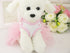 Bow Lace Tutu Skirt Doggie Dress