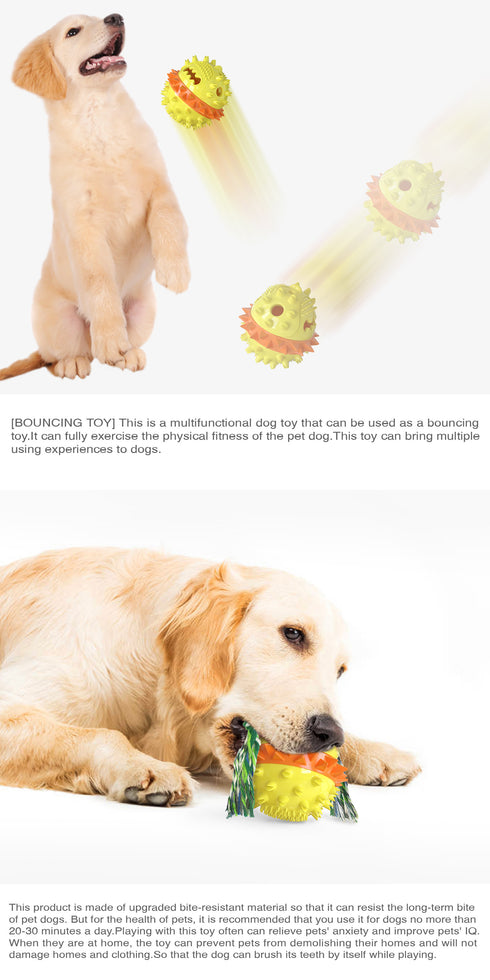 Puppies Teething Leaky Food Squeak Toys Balls