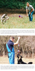 Dog Traning Balls Launcher Toy