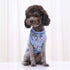 Puppy Apparel Summer Shirts Cute Vest
