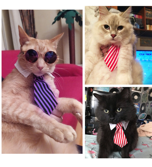 Dog Wizard Cosutme Pet Cat Puppy Cute Outfits Clothes