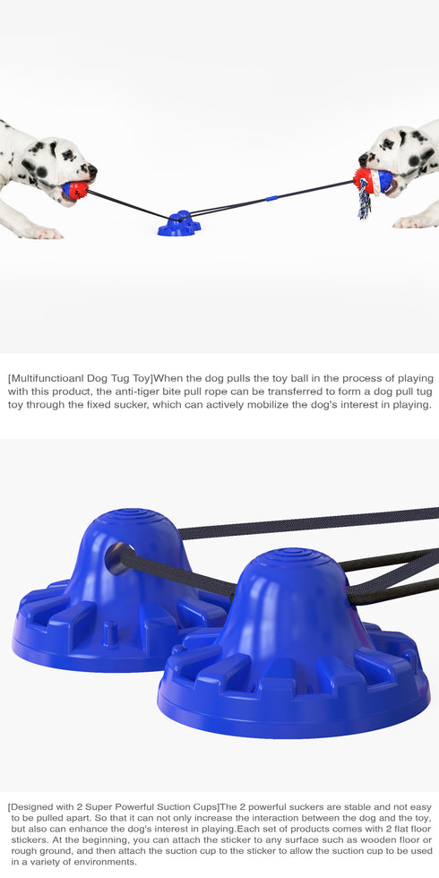 Double Suction Cup Dog Pet Tug Rope Toy
