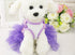 Bow Lace Tutu Skirt Doggie Dress