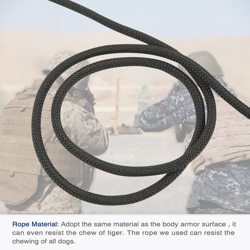 Dog Treat Dog Food Dispensing Teeth Cleaning Chew Toy