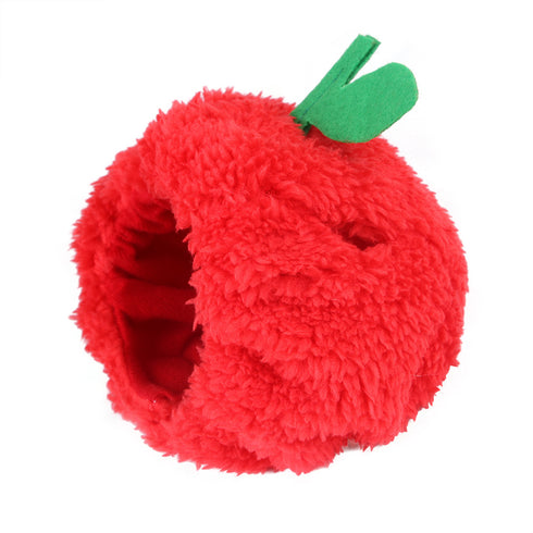 Apple Pet Birthday Funny Fruit Hat