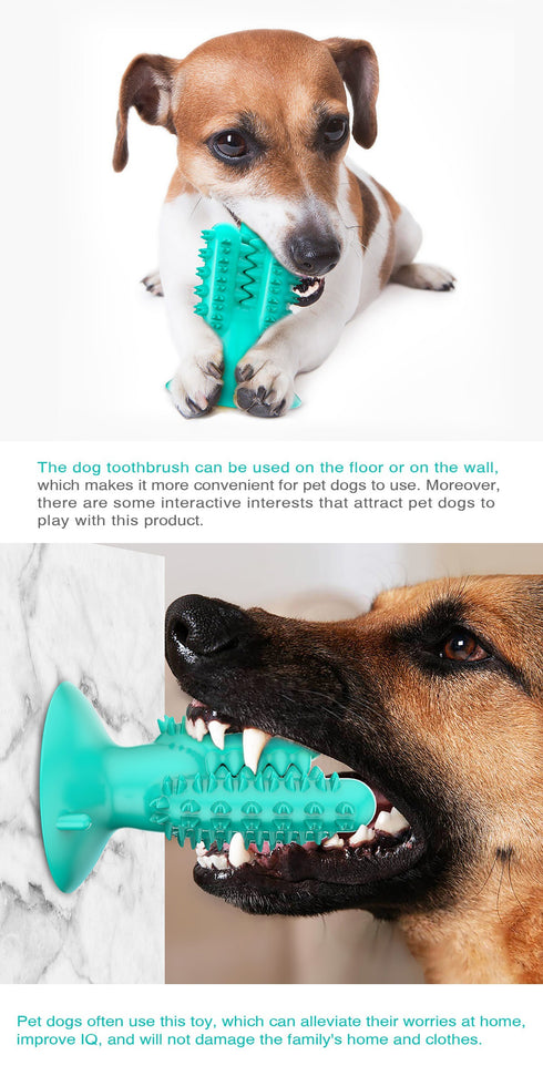 New Dog Toothbrush Brushing Stick Puppy Dental Care Teeth