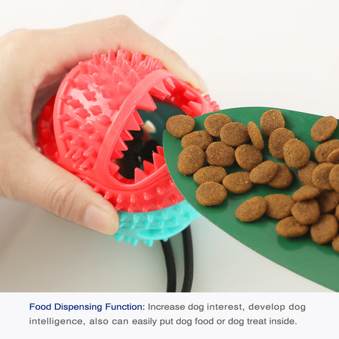 Dog Treat Dog Food Dispensing Teeth Cleaning Chew Toy