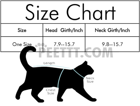 Funny Cat Halloween Cool Pumpkin Collar and Hat