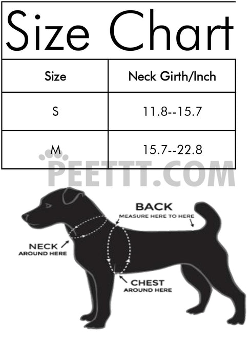 Christmas Holiday Dog Accessories Red Collar