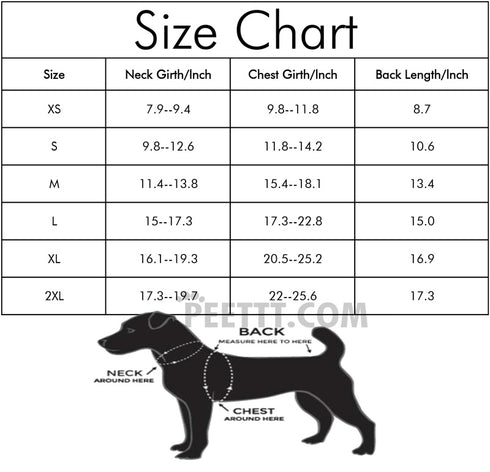 Halloween Pet Spider Harness Costume