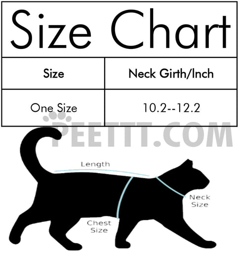 Halloween Costume Kittens Black Hat Bat Hat