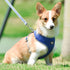 Back Leash Clips Breathable Reflective Dog Vest