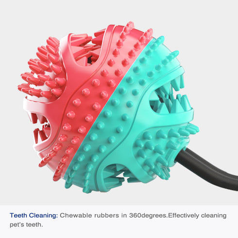 Dog Treat Dog Food Dispensing Teeth Cleaning Chew Toy