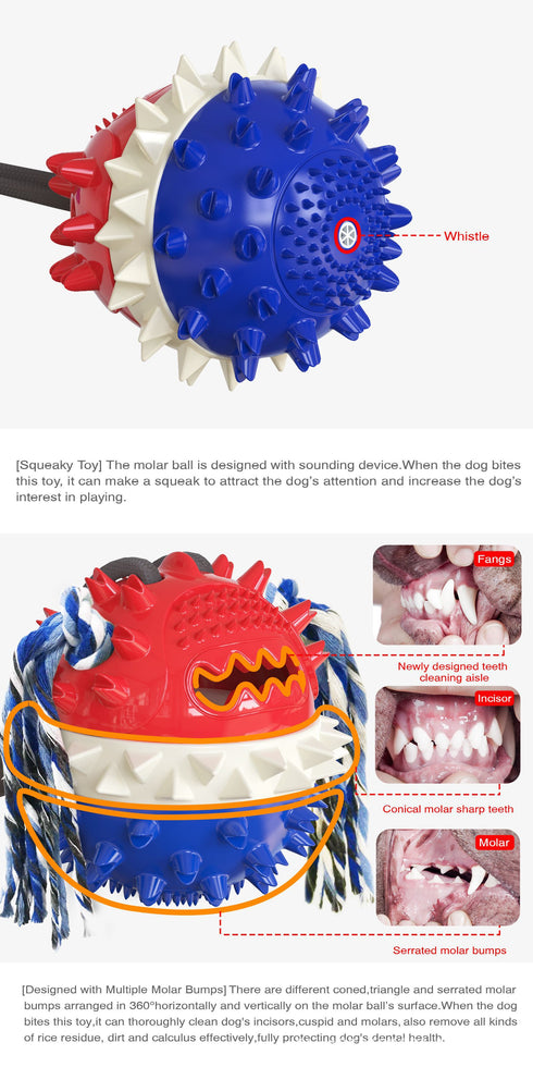 Double Suction Cup Dog Pet Tug Rope Toy