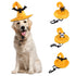 Halloween Cat Bat Skeleton Yellow Hat