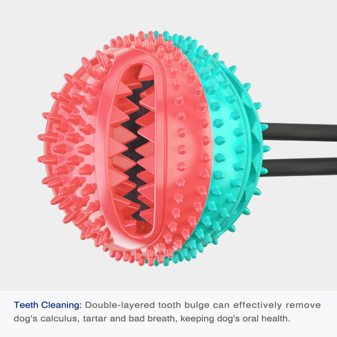 Dog Treat Dog Food Dispensing Teeth Cleaning Chew Toy