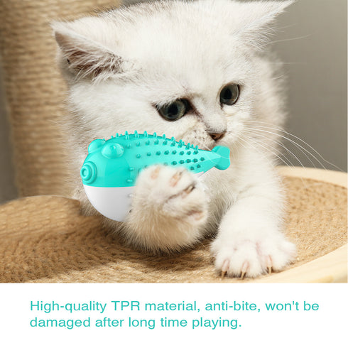 Cats Toys With Sound Pets Supplies Funny Kitten Toothbrush