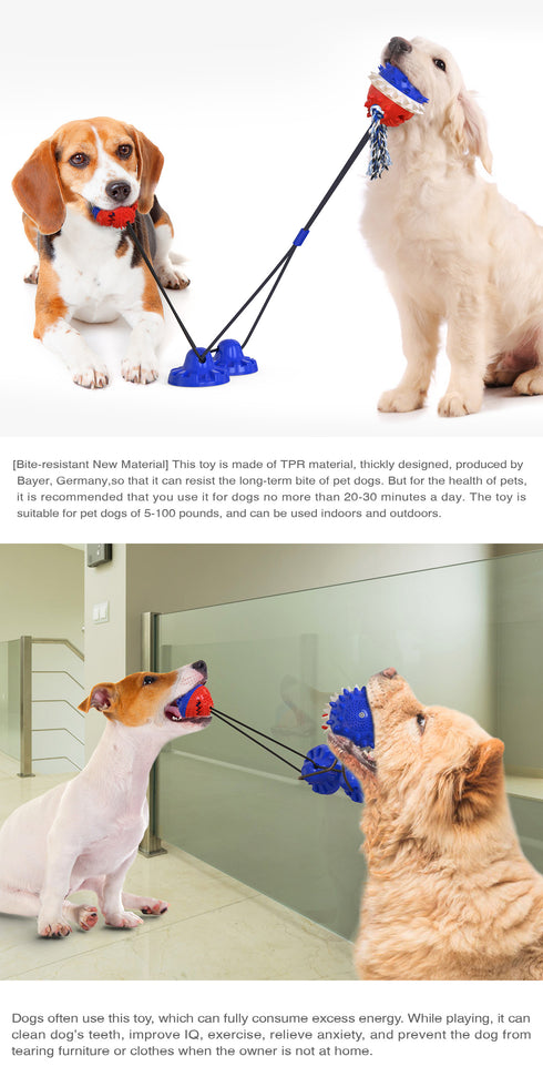 Double Suction Cup Dog Pet Tug Rope Toy