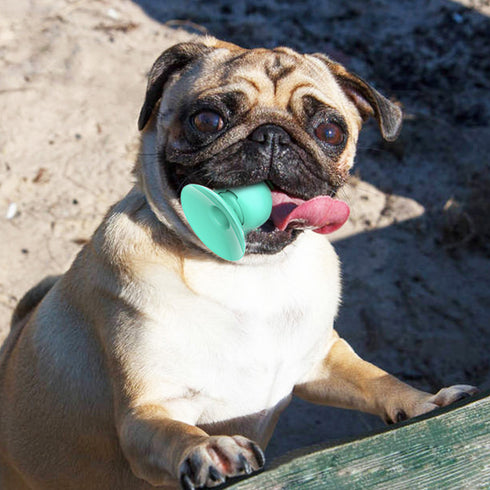 Pet Molar Dog Sucker Molar Stick Sucker Licker Toy