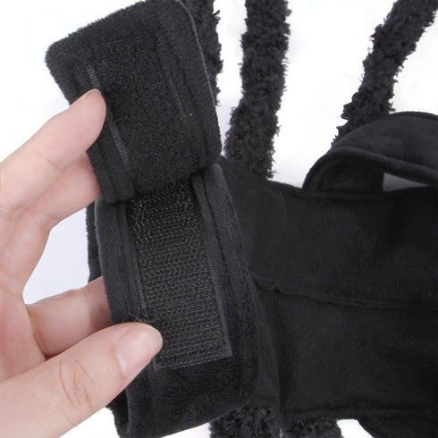 Halloween Pet Spider Harness Costume