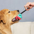 Dog Treat Dog Food Dispensing Teeth Cleaning Chew Toy
