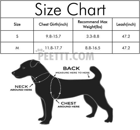 Cute Patterns Dog Leash Harness Set