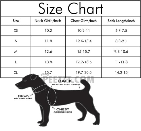 Puppy Christmas Pet Santa Claus Suit