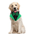 St. Patrick's Day Dog Bandana Collar with Bow Tie