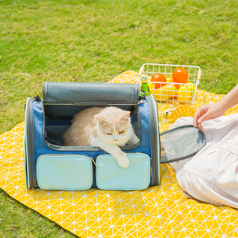 Cat Soft-Sided Travel Carrier Foldable Pet Bag