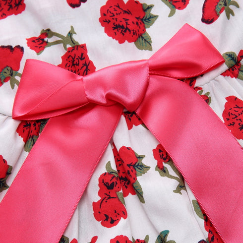 Sweet Dog Bow-Knot Princess Birthday Dresses