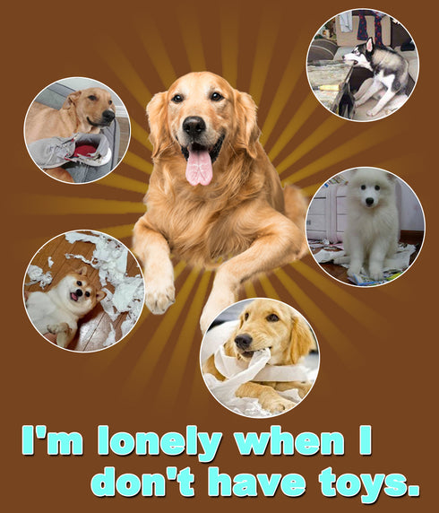 Dog Chew Toys for Teeth Cleaning