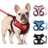Reflective Soft Padded Vest with Dog Leash