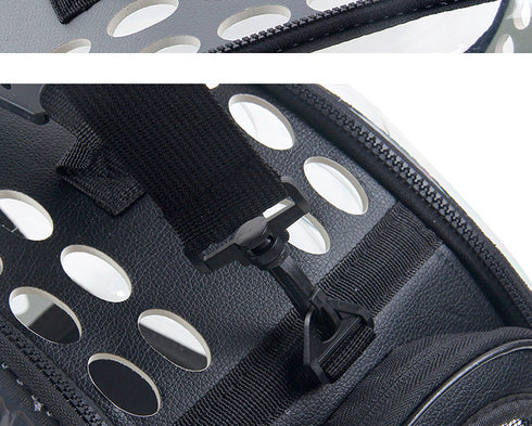 Space Capsule Transparent Bags for Cats and Puppies