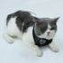 Reflective Soft Padded Vest with Dog Leash