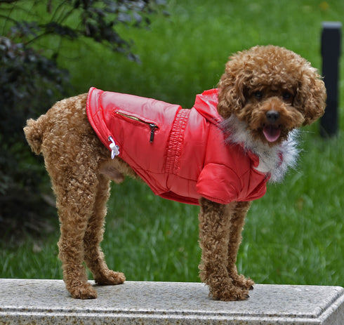 Dog Jacket Warm Winter Coat