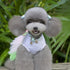 Flower Gauze Dog Dress Bowknot Princess Clothes