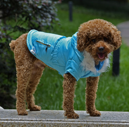 Dog Jacket Warm Winter Coat