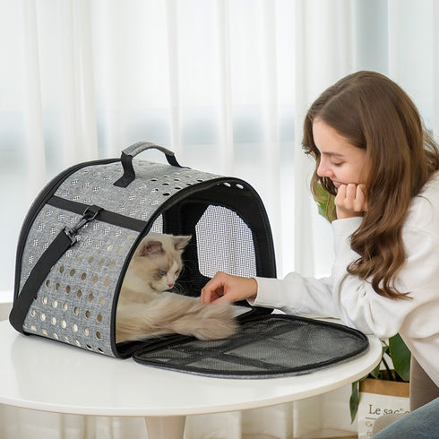 Pet Carrier Package Designed for Outdoor Use