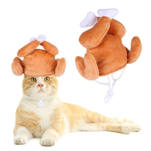 Thanksgiving Cat Turkey Drumstick Hat