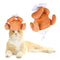 Thanksgiving Cat Turkey Drumstick Hat