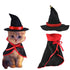 Dog Cat Vampire Cloak and Wizard Hat