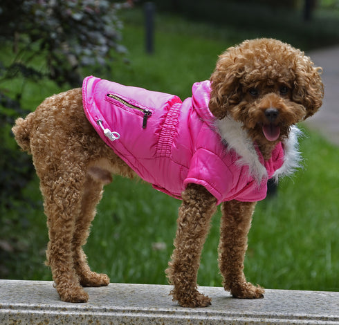 Dog Jacket Warm Winter Coat