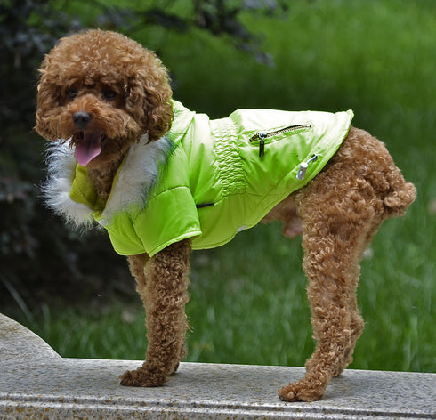 Dog Jacket Warm Winter Coat